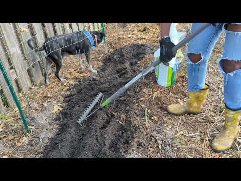 Creating new NO DIG bed PLUS see how I prepare my soil PLUS results of cardboard weedblock