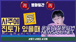 내사주보기 진토 식신 위치별 특징 - 넘치는 에너지가 무기이자 독이 될 수 있다.