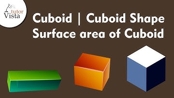 Cuboid | Cuboid Shape | Surface Area