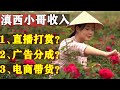 滇西小哥 | 拍视频年收入过千万，她是怎么做到的？是直播打赏，还是广告分成？原来网红这么赚钱，你心动了吗？