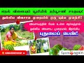 நெல் விளையும் பூமியில் தர்பூசணி சாகுபடி | துல்லிய விவசாய முறையில இறங்கிய புதுமைப்பெண் | Farmagain
