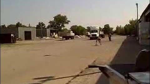 EliteFTS.com - Prowler Hands High