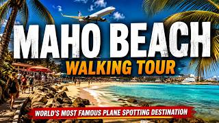 Maho Beach Walking Tour – World’s Most Famous Plane Spotting Destination