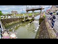 こっそり住宅街の流れ込みにルアーを投げ込んでみたら…ッ!【リバーシーバス】