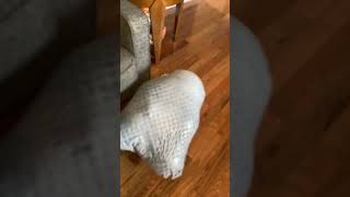 Among us trash bag