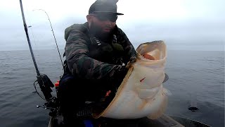The Best Live Bait to Drift for Halibut