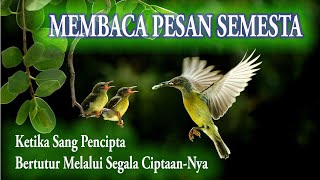 Membaca Pesan Semesta