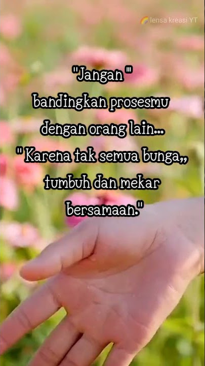 Story WA kata bijak ibarat bunga mekar
