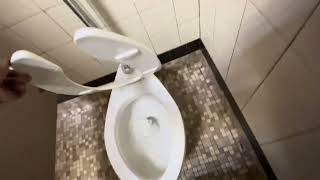 1987-1993 American Standard Madera toilet