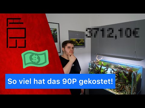 was-kostet-ein-aquascape?-i-90p-(180l)-aquarium-kosten-i-pachi_aquarium