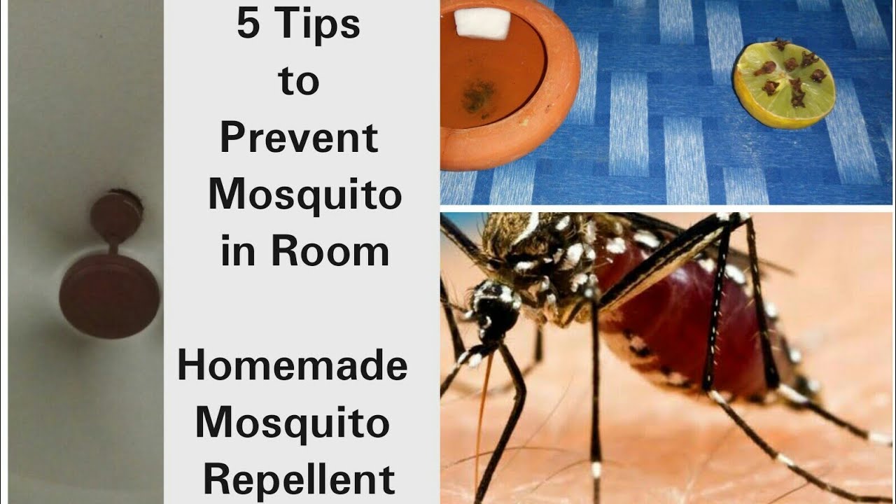 5 Tips To Prevent Mosquito From your Room/Homemade Mosquito Repellent