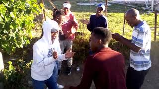 Amagwija ase Somerset East