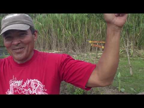Vidéo: Fleuves de Cuba
