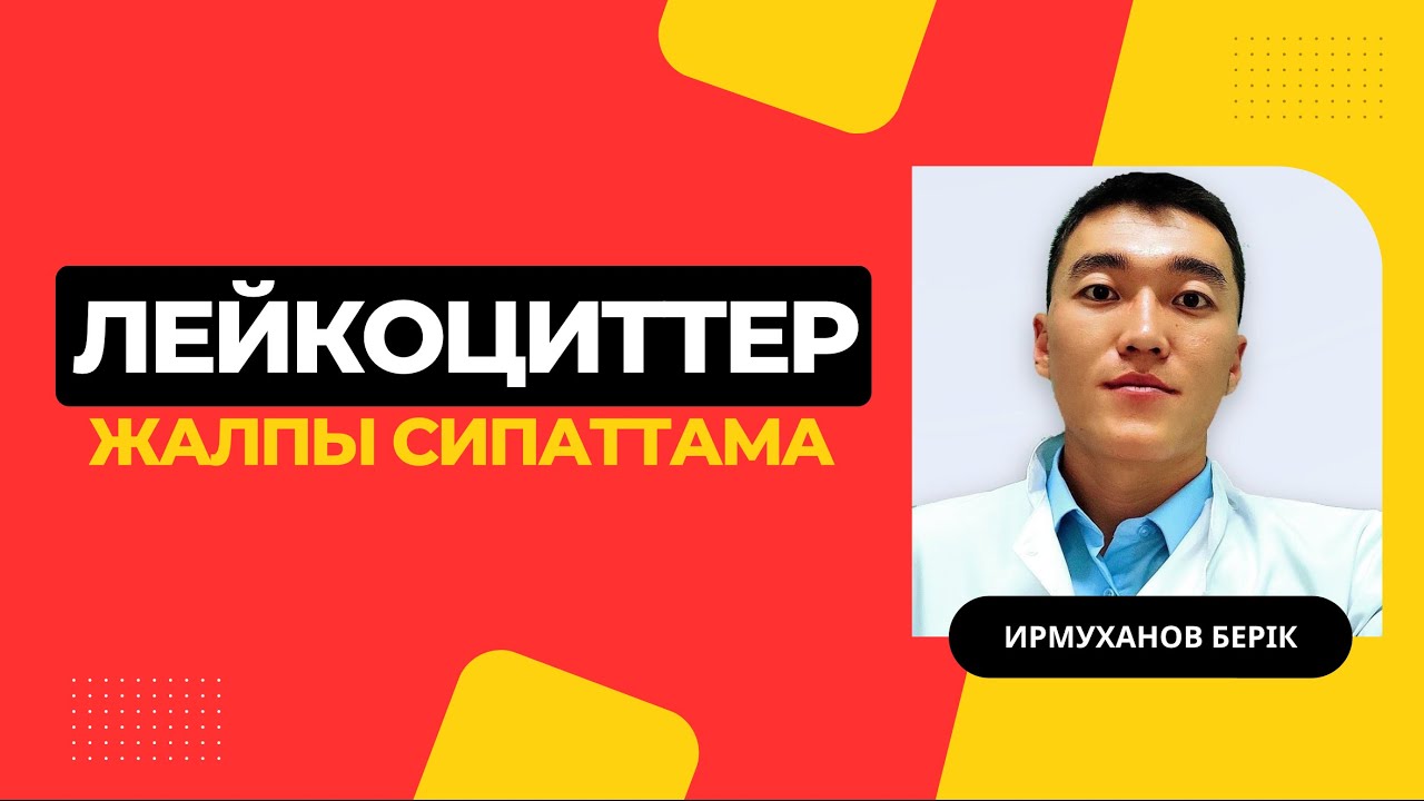Лейкоциттерге жалпы сипаттама