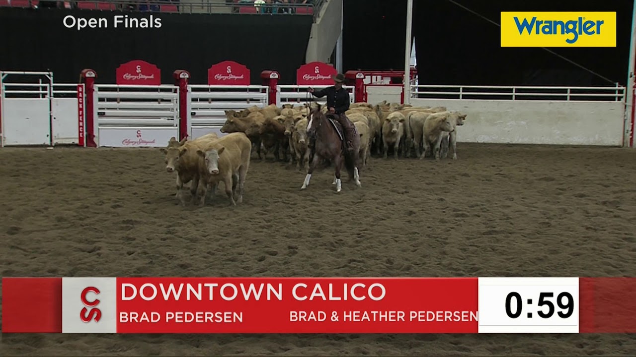 Calgary Stampede Cutting Horse Futurity Live Stream: How to Watch, Start Time, Tv Schedule  