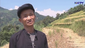 Lễ Cúng Cơm mới của dân tộc Nùng xã Chiến Phố huyện  hoàng su phì