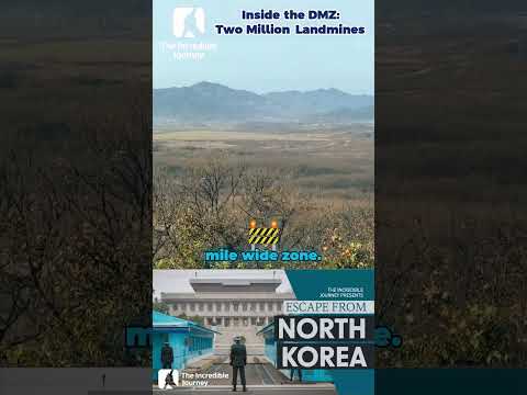 2 Million Landmines Guard The World's Most Dangerous Strip of Earth. Will This Ever End?