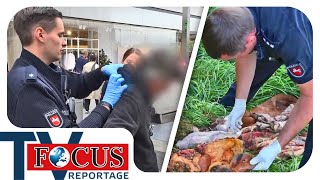 Von Verbrecherjagd bis Wildunfall: Polizeieinsätze in Stadt & Land | Focus TV Reportage