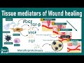 Tissue mediator of wound healing | Wound healing steps | USMLE step 1