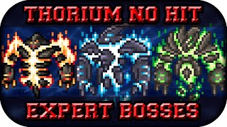 ❚Terraria Thorium❙All Bosses ❰No Hit❙Expert Mode❱❚