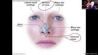 Human Anatomy Chapter 24