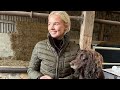 Farm tour showing local farmers round our farm 