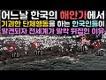 어느날 한국의 해안가에서 기괴한 단체행동을 하는 한국인들이 발견되자 전세계가 발칵 뒤집힌 이유