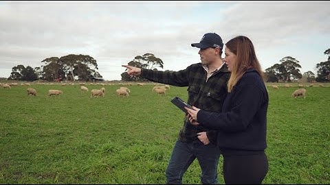 Lincoln University, specialists in land-based learning.