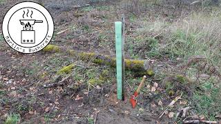 Baum pflanzen und den Wald retten, Wald aufforsten | Martin´s Bushcraft