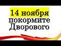 14 ноября покормите Дворового • Эзотерика для Тебя