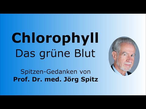 Chlorophyll - Das grüne Blut - Spitzen-Gedanken von Prof. Dr. med. Jörg Spitz