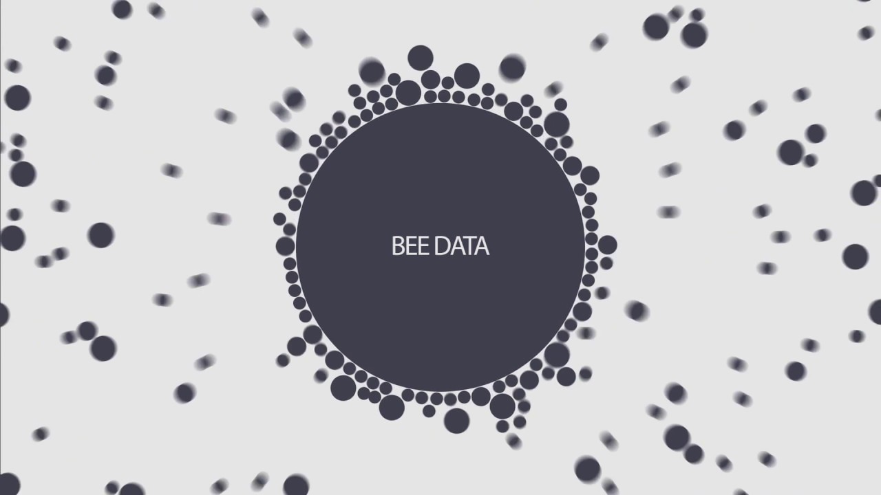 Somos Bee Data - YouTube