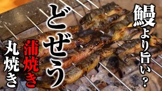 ドジョウの捌き方 蒲焼きと丸焼き 想像を超える旨さ どぜう焼き編 Youtube ドジョウの捌き方 蒲焼きと丸焼き 想像を超える旨さ どぜう焼き編 Youtube