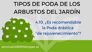 4.10. ¿Es recomendable la Poda drástica &quot;de rejuvenecimiento&quot;?