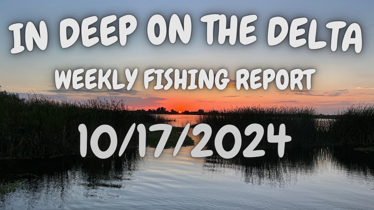 The In Deep On The Delta Weekly Fishing Report For 10/17/2024.