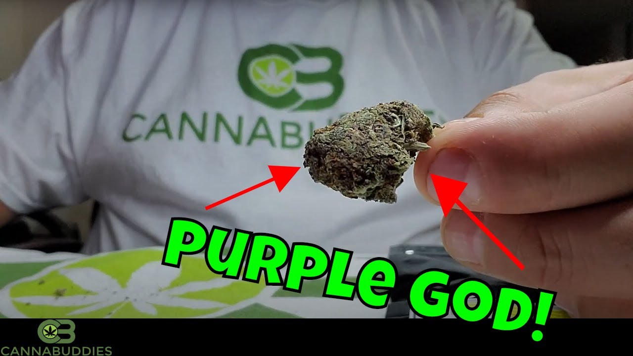 Purple God Indica Hybrid Strain Review & Growhouse.online Coupon Code