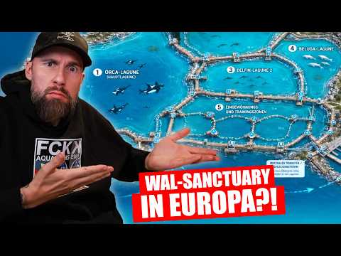 Totaler QUATSCH! Wal-Initiative plant Sanctuary | Robert Marc Lehmann reagiert