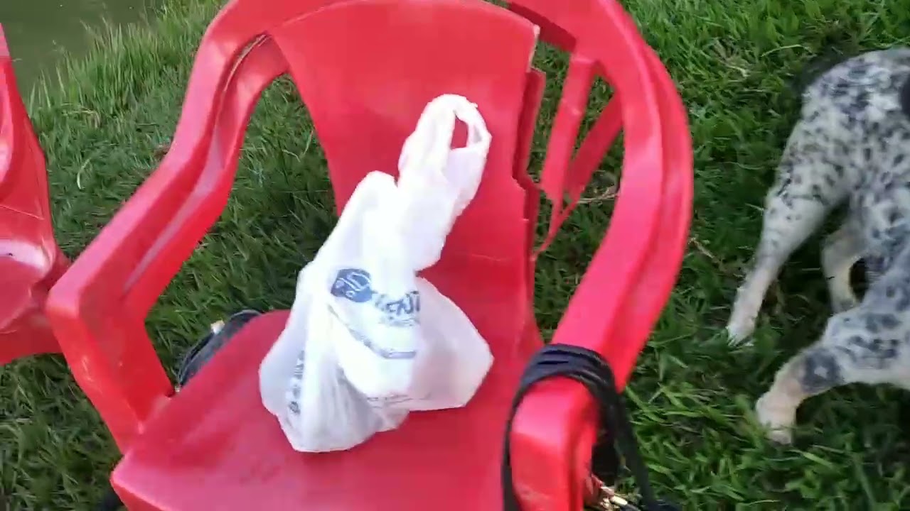 Mais uma pescaria em família, obrigada por assistirem🙏