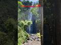 Кому жарко?🥵 Освежитесь в водопаде !! 💦💦#водопад #вода #природа #африка #джунгли