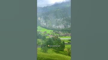 كمية الراحة والهدوئ بمجرد فيديو ، القارئ الصغير عثمان الحداد سورة (البقرة) 🤍🍃🌷