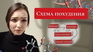 схема похудения полное видео  (инсулин , кортизол , соматотропин , грелин , лептин ).