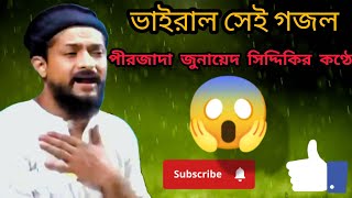 সুন্দর একটি নাত | Pirzada junayed Siddqie furfuraSharif islamicvideo @SUNNAHSENSAI