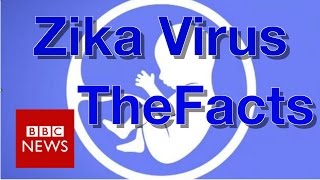 Zika virus: What you need to know - BBC News