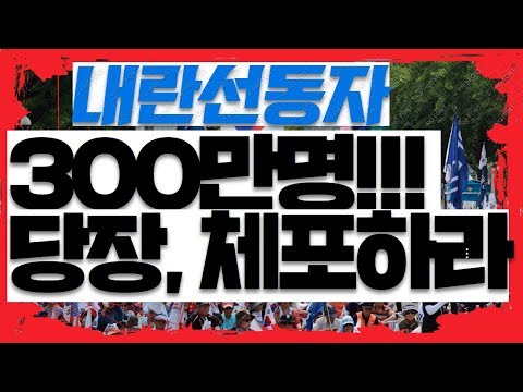 &amp;quot;조국 사퇴&amp;quot; 외친, 300만명 내란선동, 당장 체포하라