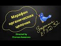 103. 21-МАРАФОН ОРГАНИЧЕСКИХ ЦЕПОЧЕК