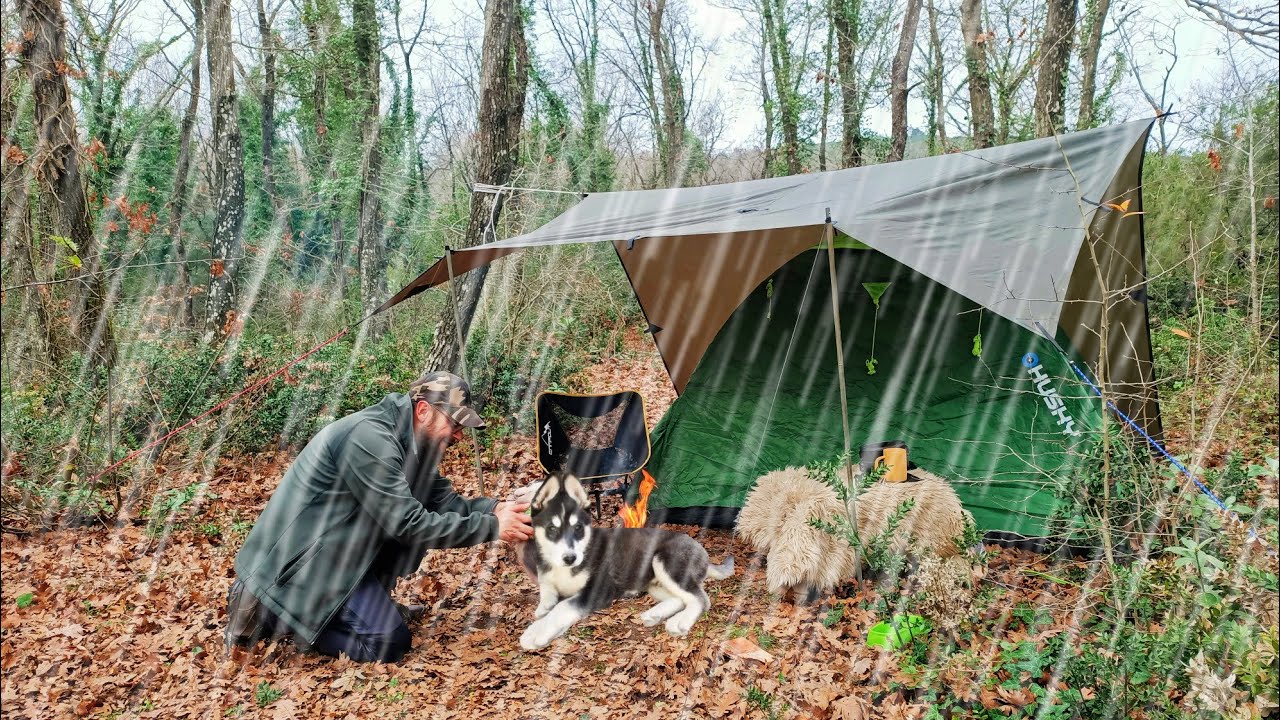 Camping With Siberian Husky Puppy in Rain with Tent and Tarp / Sleeping