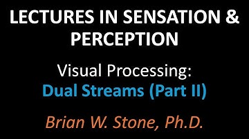 Sensation and Perception - Visual Processing Pt4 - Dual Streams, Part II