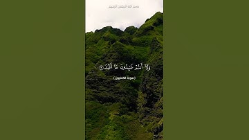 سورة الكافرون بصوت القارىء محمد الفقيه