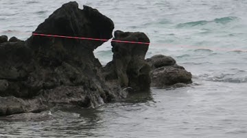 bug-depayse  　アルベール・カミュのペストより　公演予告動画