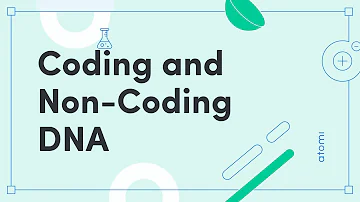 Are STRs in coding DNA?